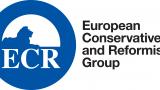 Logotyp EKR - ECR